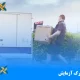 باربری در شهرک آزمایش